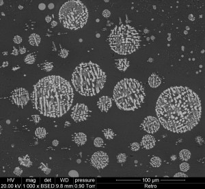 L'observation en électrons rétrodiffusés permet de visualiser les contrastes chimiques